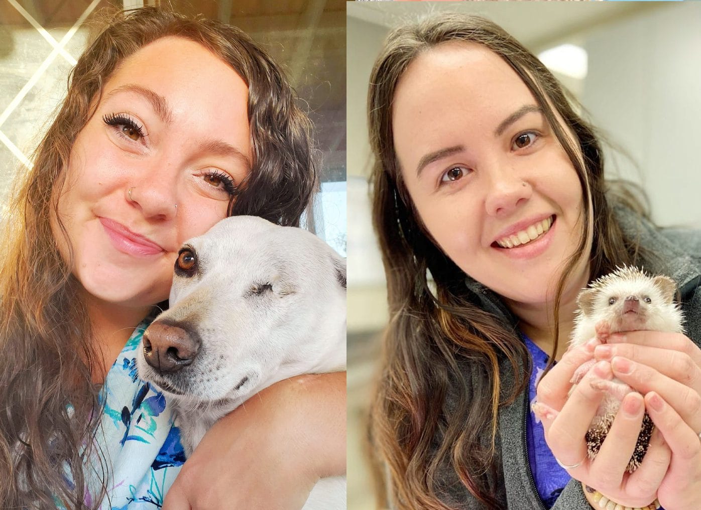 Two pictures of a woman holding a dog and a hedgehog.