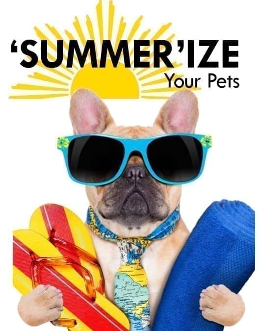 Summer-ize Your Pet