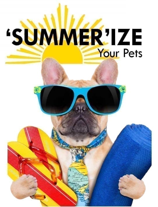 Summer-ize Your Pet