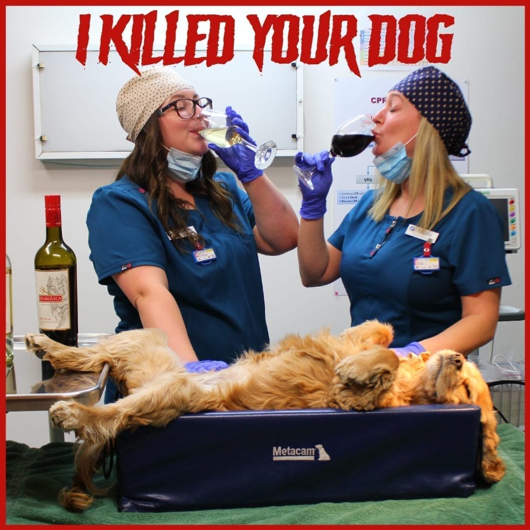 I killed your dog poster.