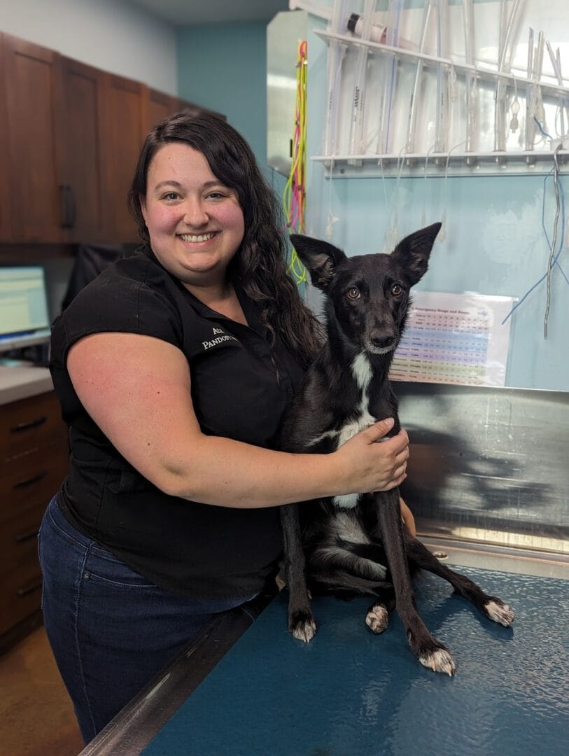 A woman in a black shirt smiles at the camera while holding a black and white dog sitting on a veterinary examination table.