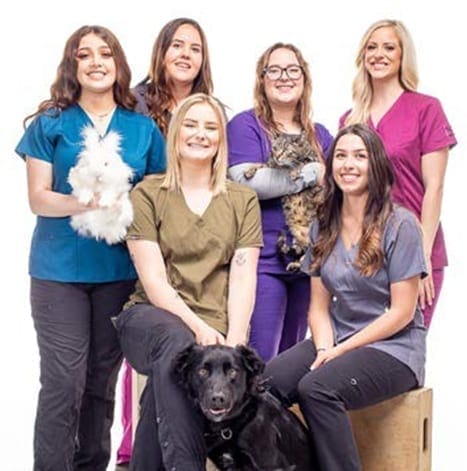 A group of women in scrubs posing with a dog.