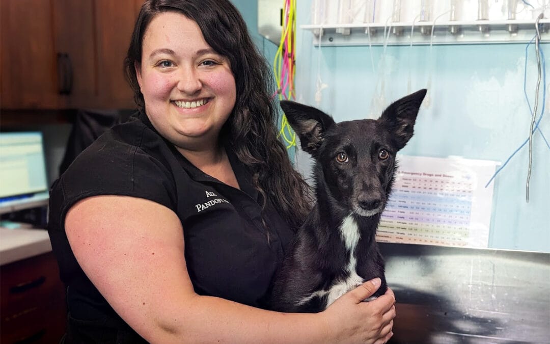 From Classroom to Critter Care