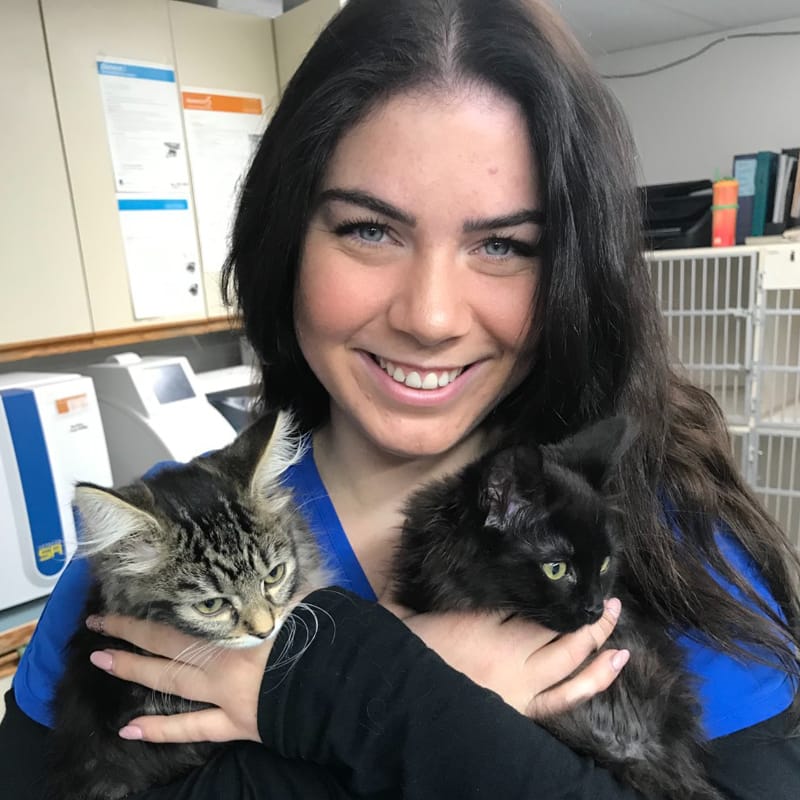 Alumni Feature of Xiola Woodward Latour, holding two small kittens at a VHA